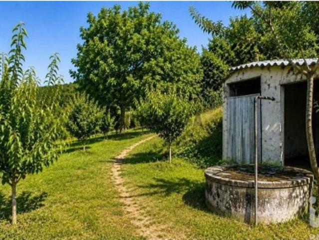 Terreno Agrícola em Seixo da Beira