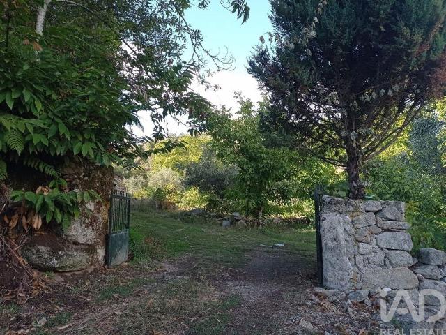 Terreno Agrícola em Sendim