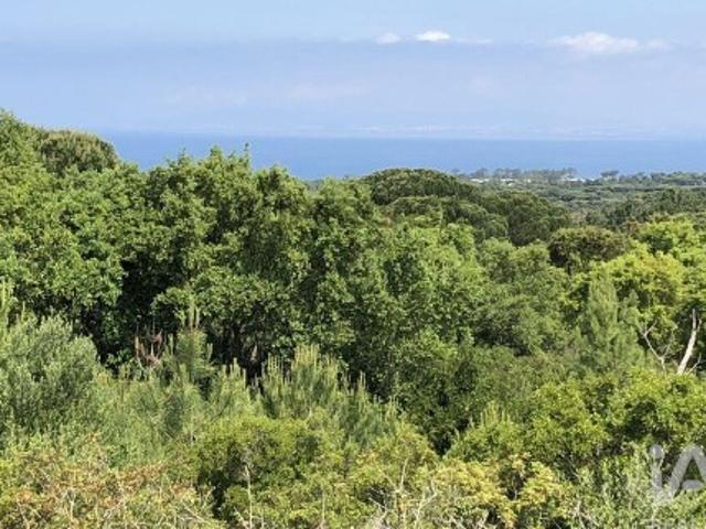 Terreno Agrícola em Sesimbra Castelo