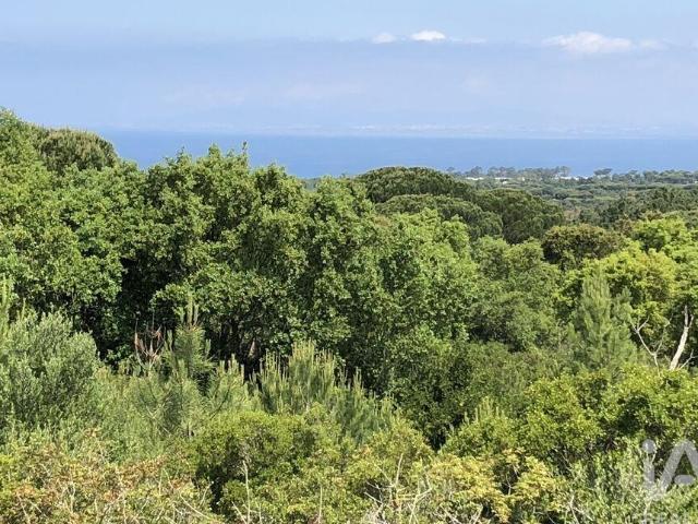 Terreno Agrícola em Sesimbra Castelo