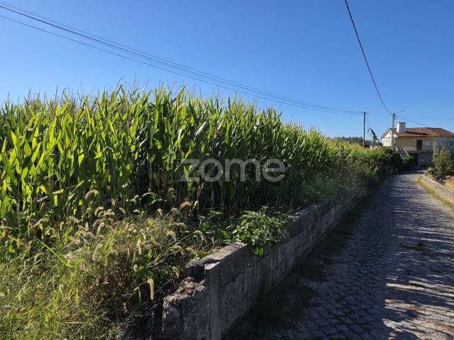 Terreno Agrícola em Sequeade, Barcelos