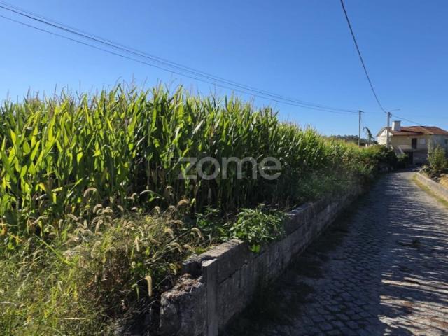Terreno Agrícola em Sequeade, Barcelos