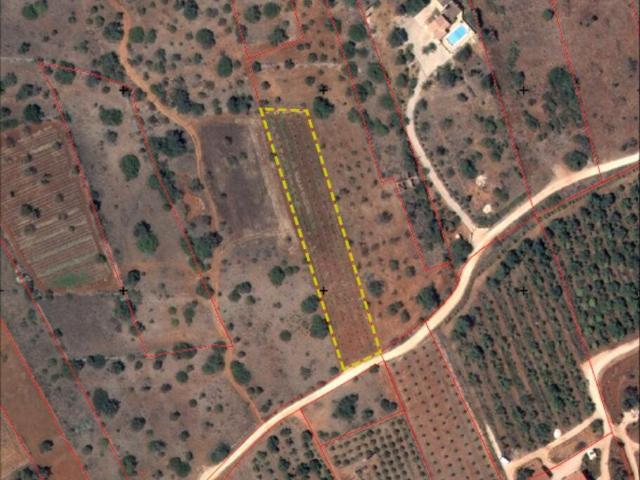 Terreno Agrícola em Silves
