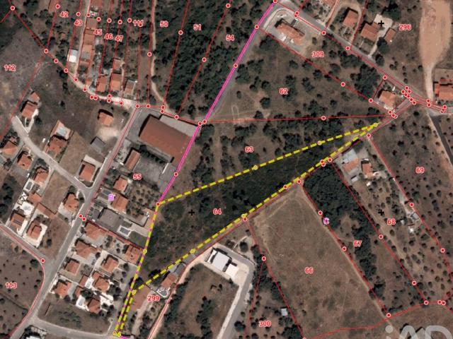 Terreno Agrícola em Tomar e Santa Maria dos Olivais