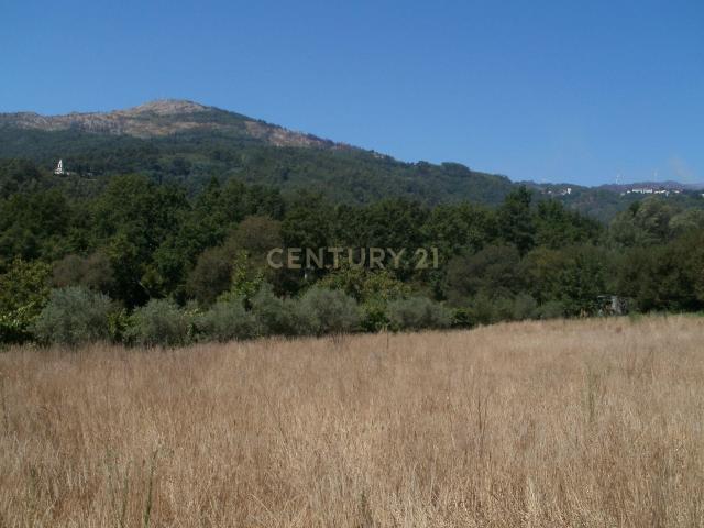 Terreno agricola em Tondela