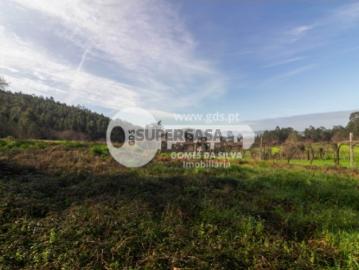 Terreno Agrícola em Vale São Martinho, Vila Nova de Famalicão