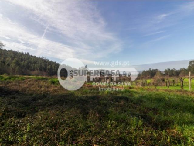 Terreno Agrícola em Vale São Martinho, Vila Nova de Famalicão