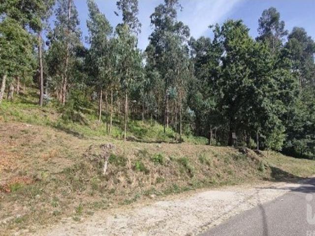 Terreno Agrícola em Valença, Cristelo Covo e Arão