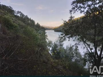 Terreno Agrícola em Vila Boa de Quires e Maureles