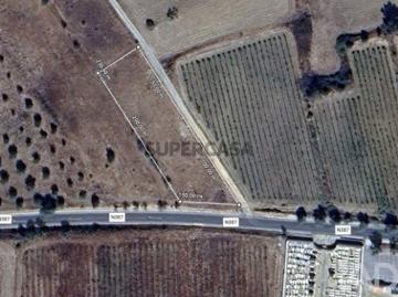 Terreno Agrícola em Vila de Frades