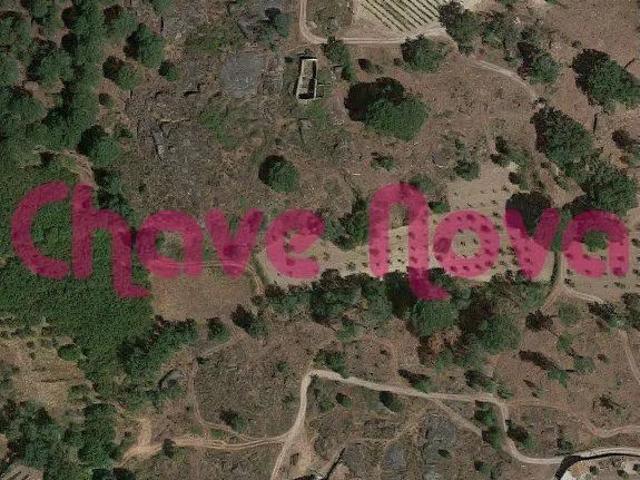 Terreno agrícola em Vinhó Gouveia