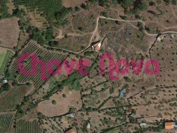 Terreno agrícola em Vinhó, Gouveia com cerca de 80 oliveiras