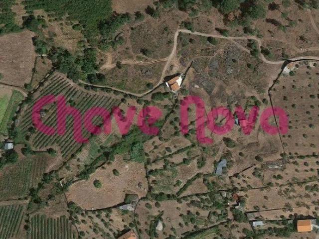 Terreno agrícola em Vinhó, Gouveia com cerca de 80 oliveiras