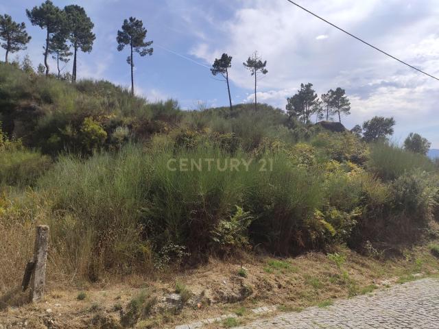 Terreno agrícola em zona habitacional e com ótimos acessos em Travanca, Santa Marinha do Zêzere, Baião, Porto