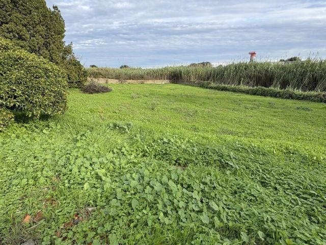 Terreno Agrícola em Montijo e Afonsoeiro