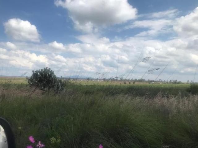 Terreno agrícola en venta · Aculco, Estado de México · 15 Hectáreas