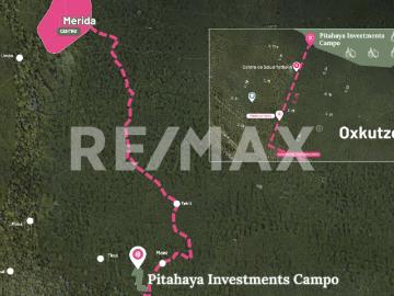 Terreno agrícola en venta con ingresos pasivos y plusvalía asegurada