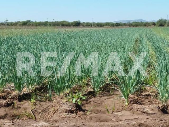 Terreno agrícola en venta en Hermosillo, Sonora
