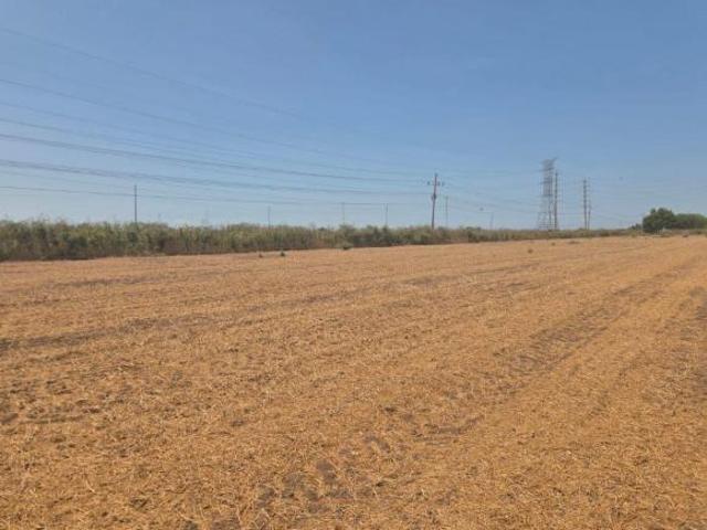 Terreno Agricola en Venta, Los Mochis, Sinaloa