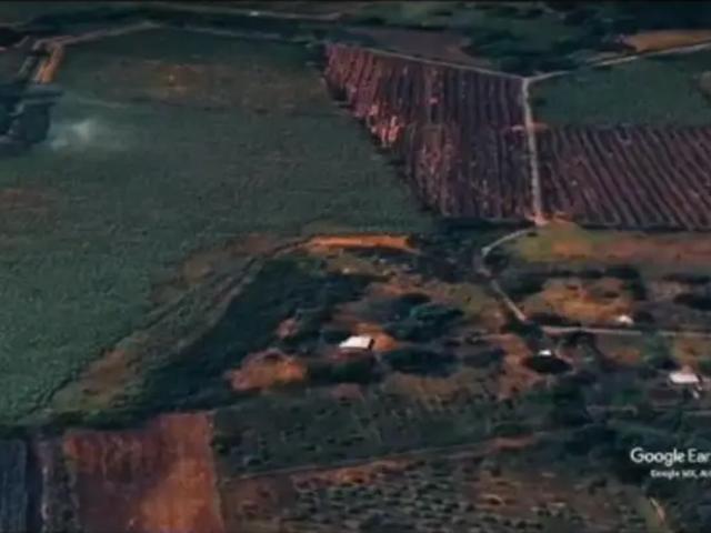 TERRENO AGRÍCOLA EN VENTA Ubicado en Manlio Fabio Altamirano