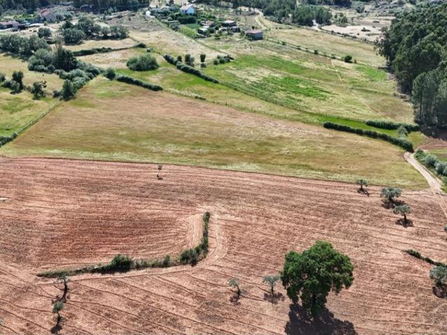 Terreno Agrícola Fértil em Quintas da Torre Ideal para Pequena Exploração Agrícola ou Projeto Rural