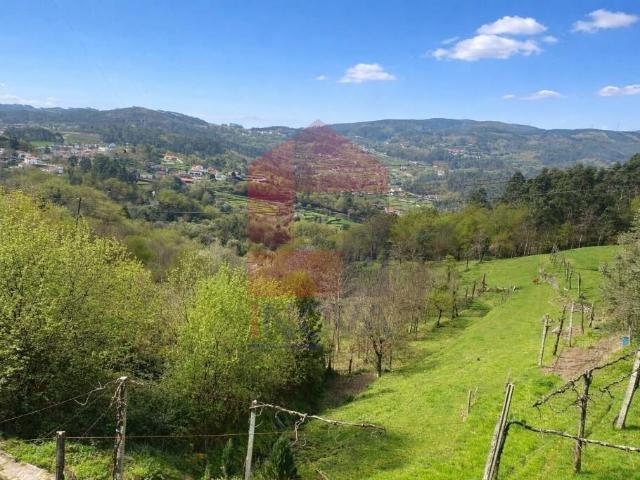 Terreno agrícola / florestal, Barros