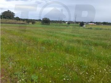 Terreno Agrícola Foros da Charneca 50.000€