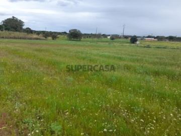Terreno Agrícola Foros da Charneca 50.000€