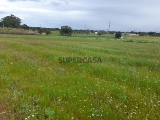 Terreno Agrícola Foros da Charneca 50.000€