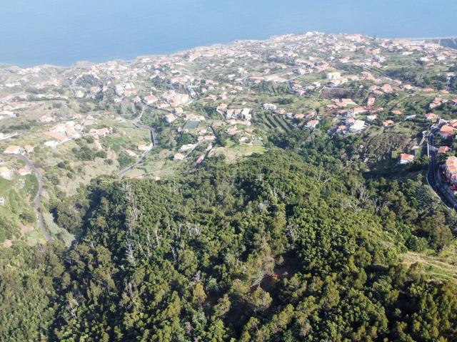 Terreno agrícola Gaula, Santa Cruz Ilha da Madeira
