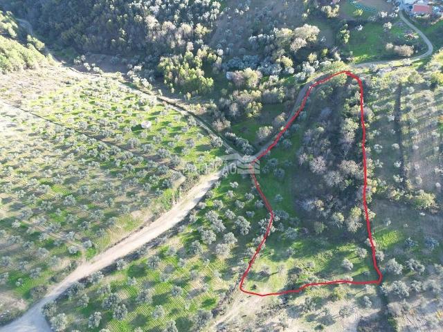 Terreno Agrícola Grijó de Parada
