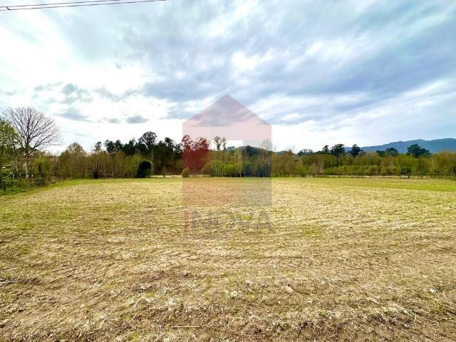 Terreno agrícola, Lanhas
