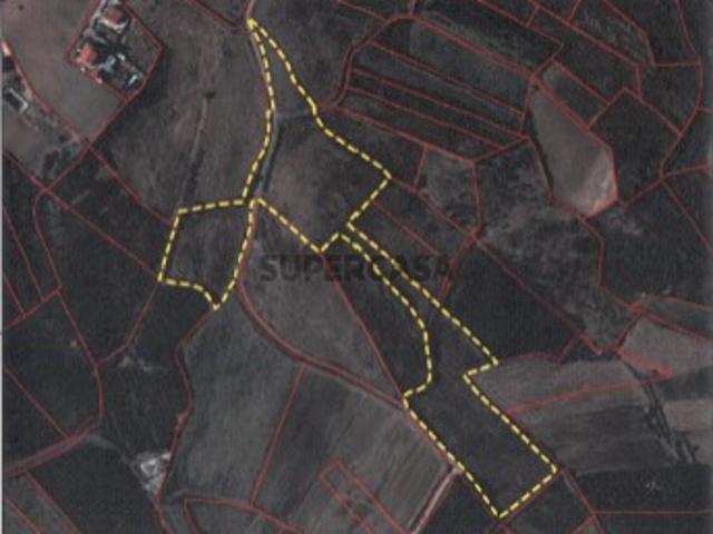 Terreno agrícola localizado na Freguesia do Vimeiro
