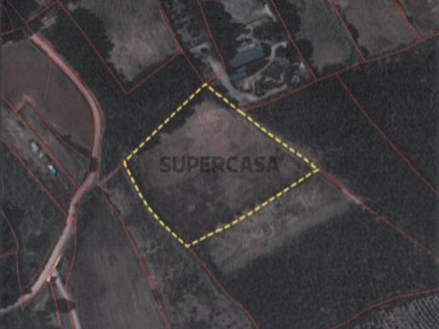 Terreno agrícola localizado na Freguesia do Vimeiro