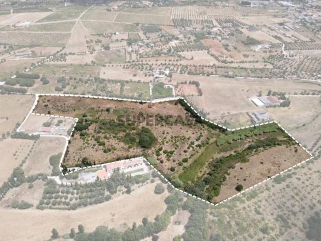Terreno Agrícola para Venda 6,8 ha | Vale da Pinta, Cartaxo