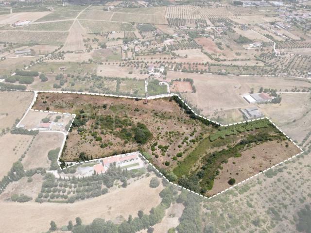 Terreno Agrícola para Venda 6,8 ha | Vale da Pinta, Cartaxo