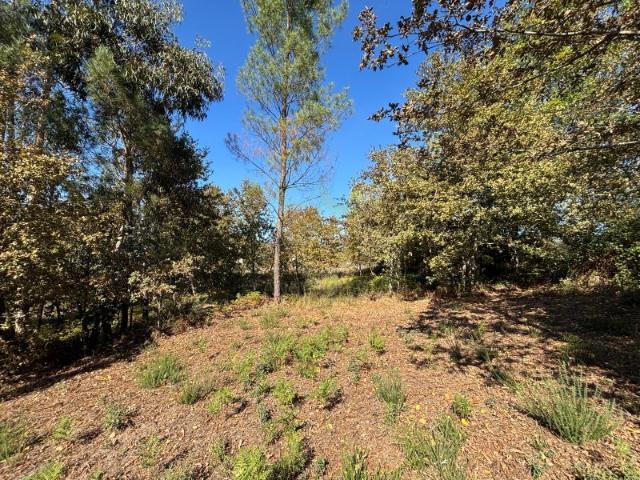 Terreno Agrícola para Venda em Friande, Póvoa de Lanhoso