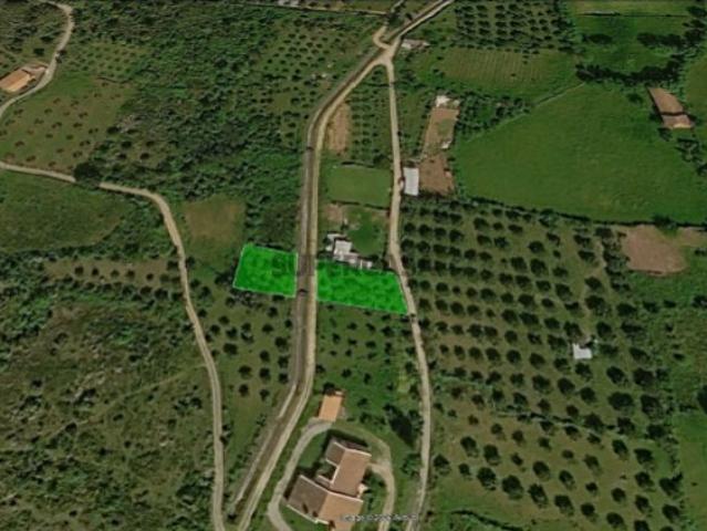 Terreno agrícola para venda em Macedo de Cavaleiros
