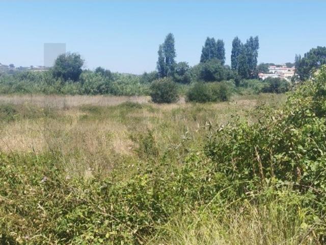 Terreno Agrícola para Venda em São Lourenço, Ribamar, 5.437m2 22.500€