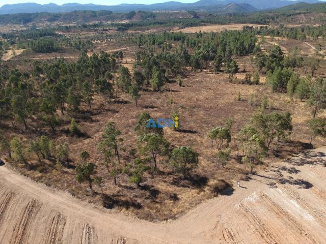 Terreno Agrícola para Venda – Juncal do Campo – 9.000 m²