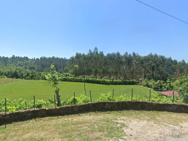 Terreno agrícola Pinheiro