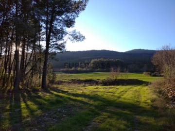 TERRENO AGRÍCOLA, plano, orografia regular, abundância de água e fértil Guarda