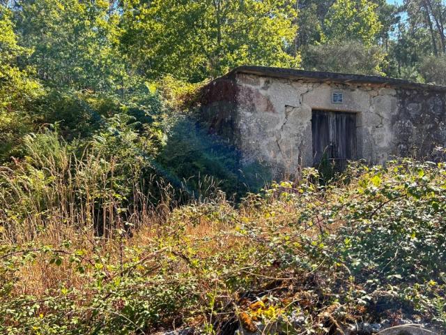 Terreno agrícola plano com anexo de apoio