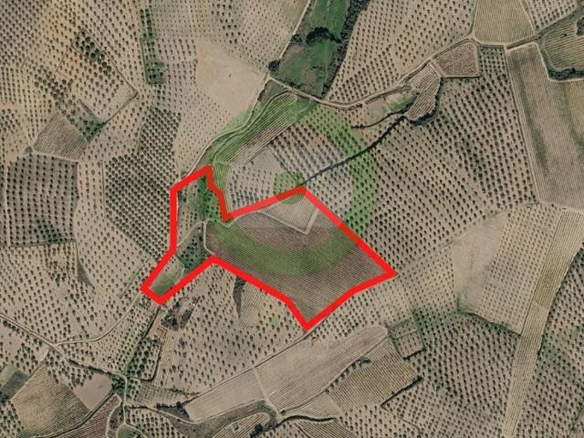 Terreno agrícola situado em Miradeses
