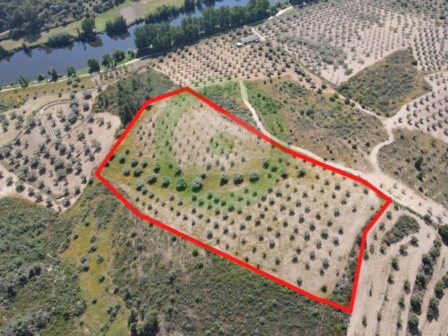 Terreno agrícola situado próximo da praia fluvial de Miradeses
