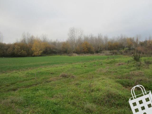 Terreno agrícola Terreno Agrícola com 9078m²