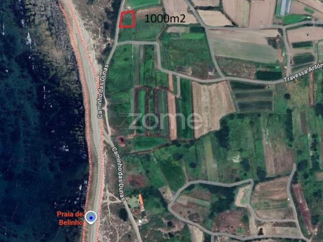 Terreno agrícola voltado para o mar