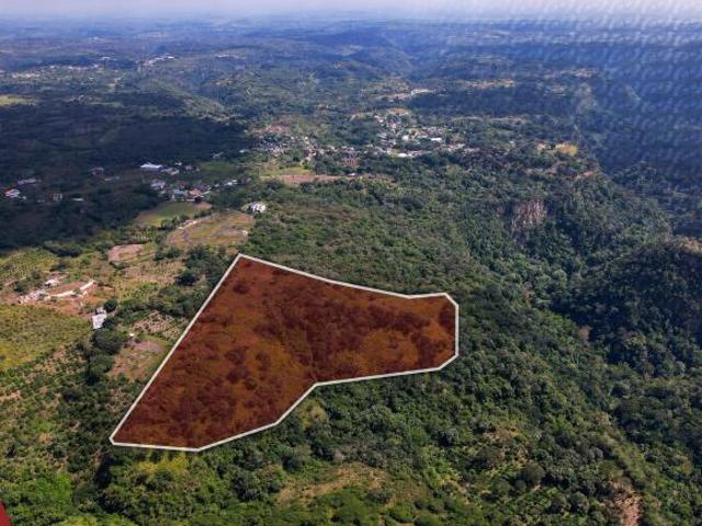Terreno agrícola y ganadero en venta cerca de Xalapa, Rancho Viejo