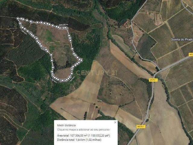 Terreno Agrícola 12Ha em Capinha, Fundão