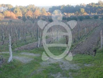 Terreno Agrícola